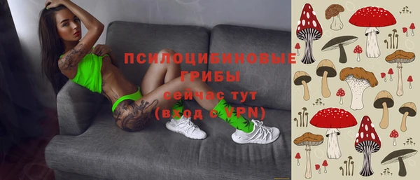 амф Вяземский