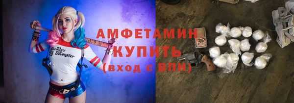амф Вяземский