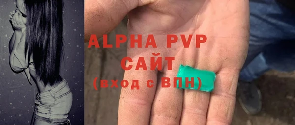 амф Вяземский