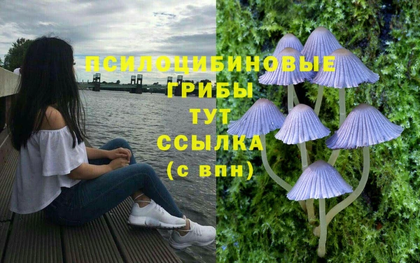 марки lsd Вязьма