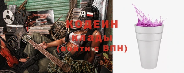 амф Вяземский