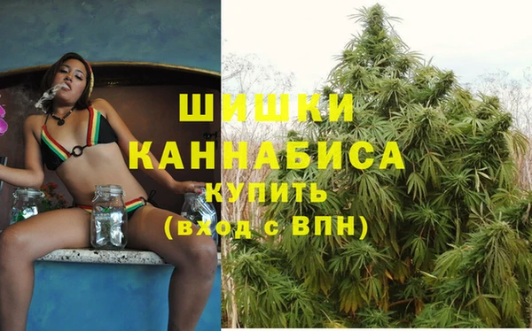 apvp Вязники