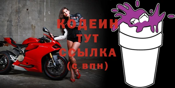 амф Вяземский