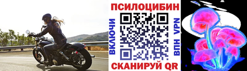 Купить где  Керчь  Псилоцибиновые грибы ЛСД 